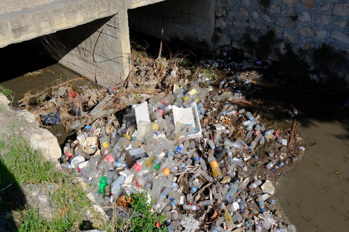 Menderes Nehri temizleniyor