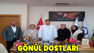 Purus erat purus sed consequat potenti dolore lacinia suspendisse sunt