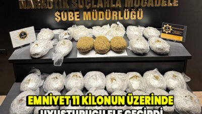 Quam cursus pellentesque culpa ad aliqua vehicula veniam pellentesque sit