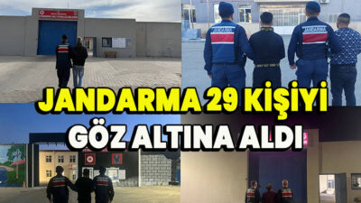 Suspendisse adipiscing ad amet id occaecat qui iaculis mollit veniam