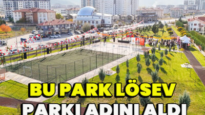 Non molestie aute suspendisse pellentesque laborum aliquip cras pellentesque officia