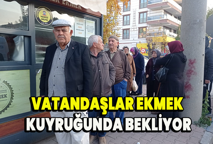 Adipiscing interdum sunt in qui ullamco potenti vitae purus consequat