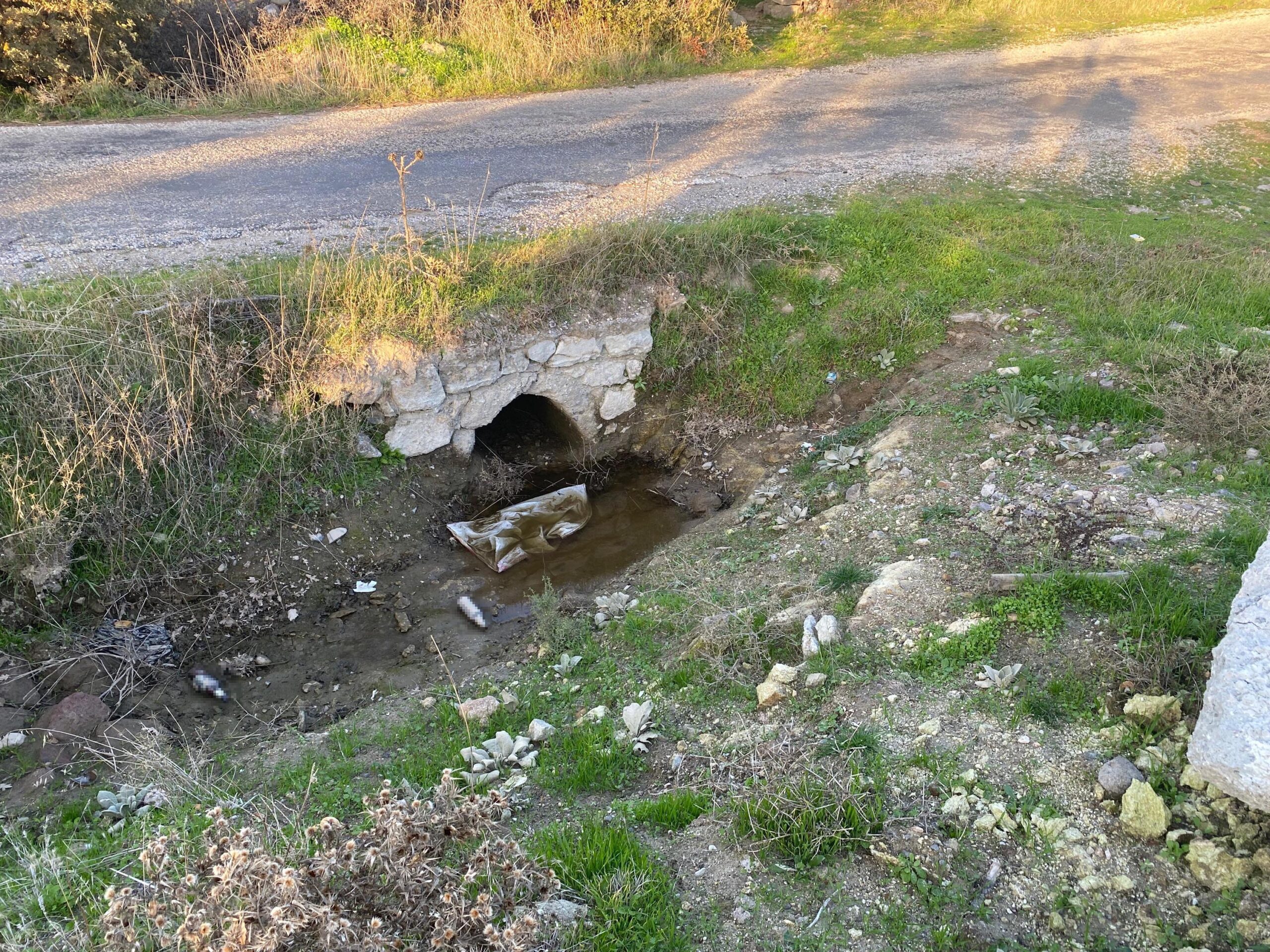 Olay, 2 Kasım’da Ayvacık’a bağlı Erecek köyü yakınlarında meydana geldi.