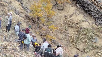 Olay, Gövdeli Mahallesi’nde meydana geldi. Kışlık yakacak odun toplamak için