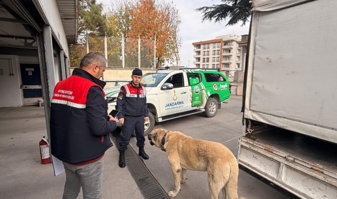AFYONAKARAHİSAR (AA) – Afyonkarahisar'da köpek dövüştüren 12 şüpheli gözaltına alındı.