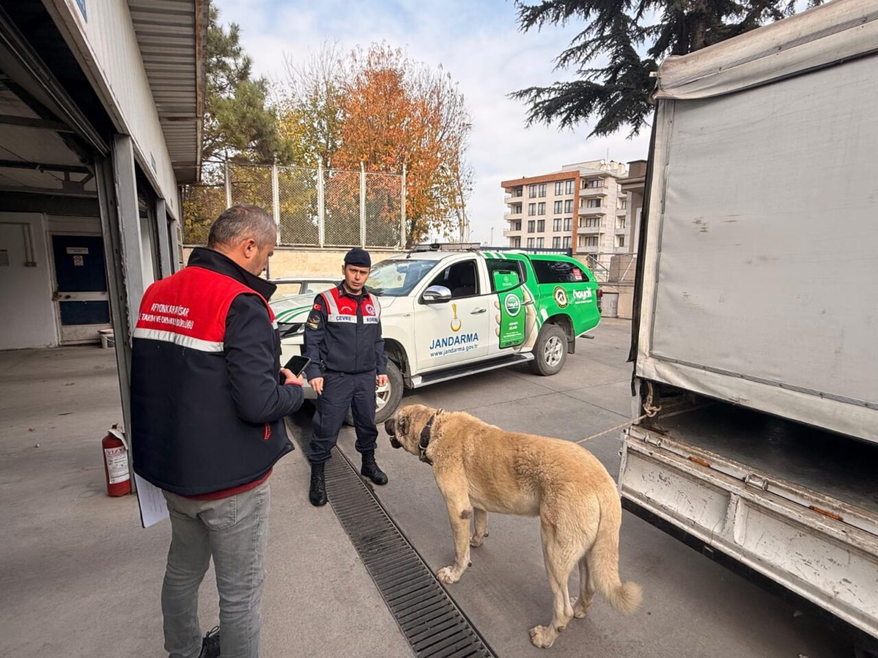 AFYONAKARAHİSAR (AA) – Afyonkarahisar'da köpek dövüştüren 12 şüpheli gözaltına alındı.