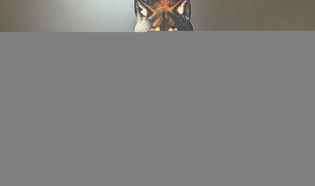 AFYONKARAHİSAR (AA) – Afyonkarahisar'da düzenlenen uyuşturucu operasyonunda gözaltına alınan zanlı