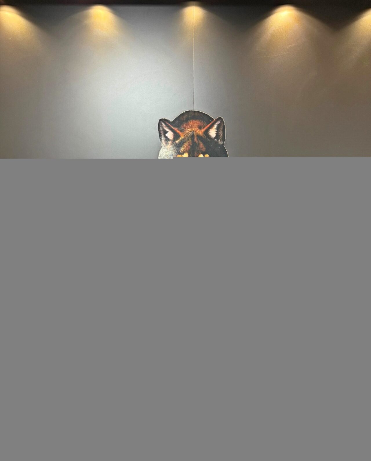 AFYONKARAHİSAR (AA) – Afyonkarahisar'da düzenlenen uyuşturucu operasyonunda gözaltına alınan zanlı