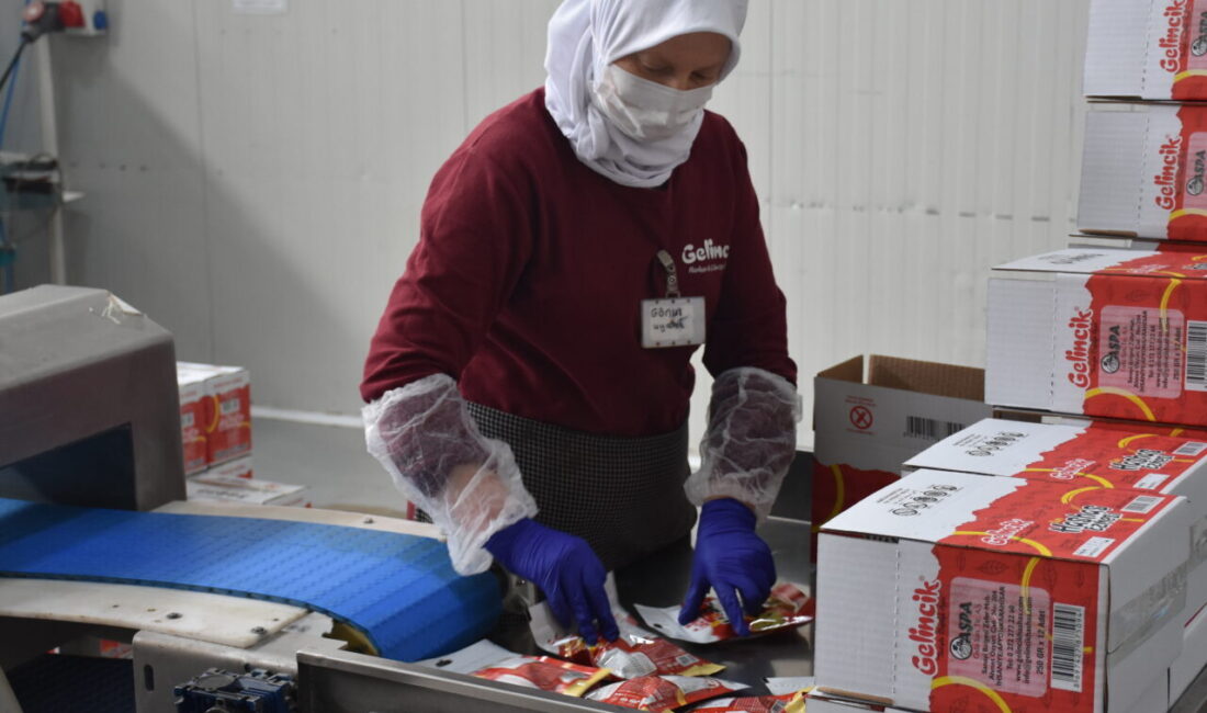 - Afyonkarahisar'da 110 kişinin çalıştığı firmanın genel müdürü Süleyman Aşgın:
-