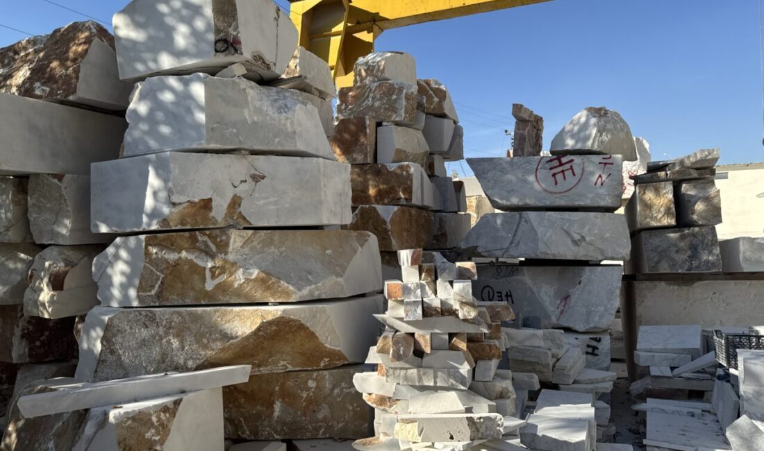 - Ege Üniversitesi Nükleer Bilimler Enstitüsü Öğretim Üyesi Prof. Dr.