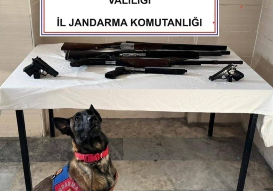 Afyonkarahisar’ın İscehisar ilçesinde düğün ve eğlencelerde havaya ateş açan magandalara