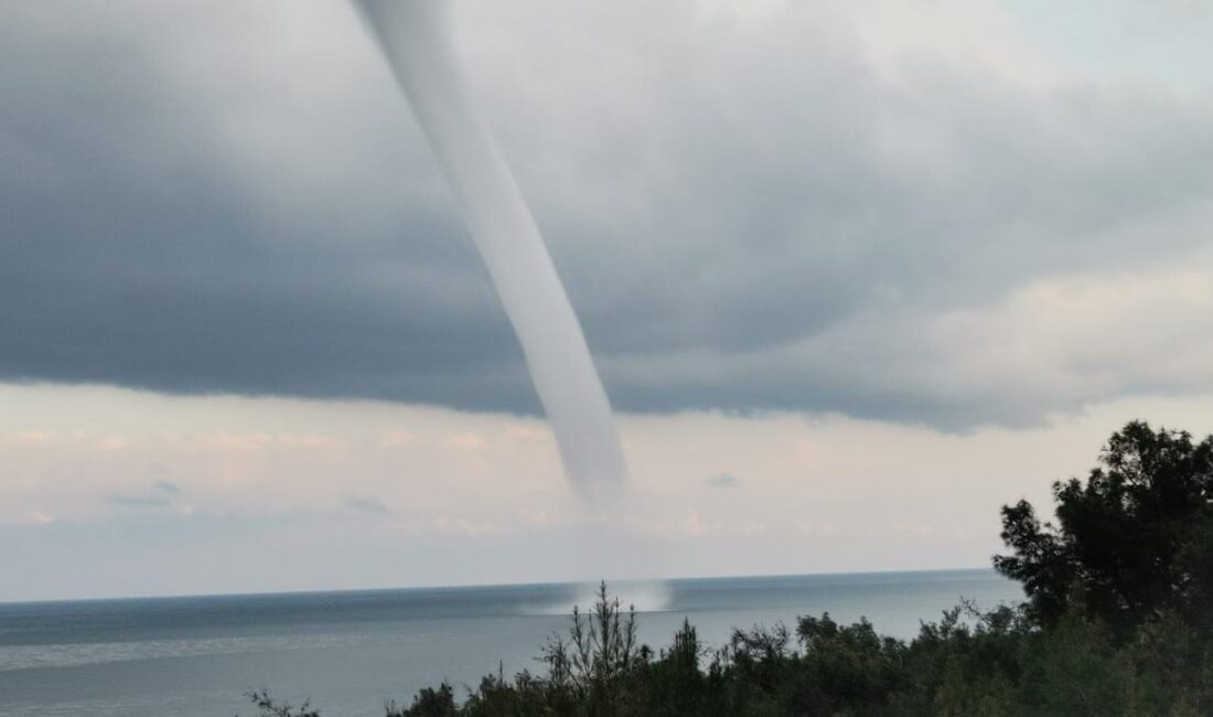 Olay, sabah saatlerinde Antalya Avsallar Mahallesi açıklarında meydana geldi. Bölgede