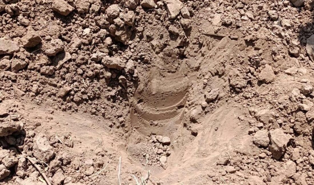 Adli makamlardan alınan arama kararına istinaden gerçekleştirilen aramada, tarihi eser