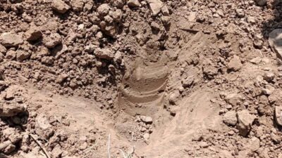 Adli makamlardan alınan arama kararına istinaden gerçekleştirilen aramada, tarihi eser