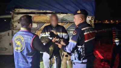 Olay, Sandıklı ilçesinde meydana geldi. İlçede 13 küçükbaş hayvanın çalınması