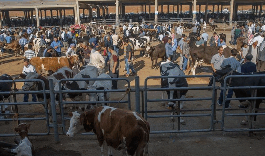 Şuhut Kaymakamlığından alınan bilgide, Pazar alanında gerekli hazırlıkların tamamlandığı, vatandaşların