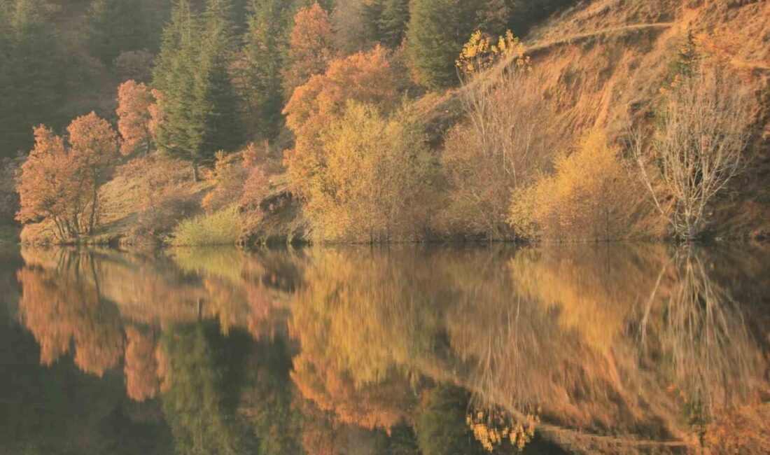 Kentte sonbahar mevsimi tüm güzellikleri ile yaşanmaya devam ediyor. Kent