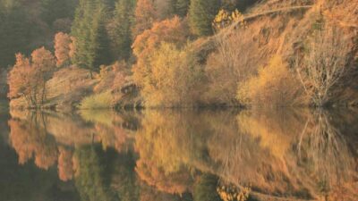 Kentte sonbahar mevsimi tüm güzellikleri ile yaşanmaya devam ediyor. Kent