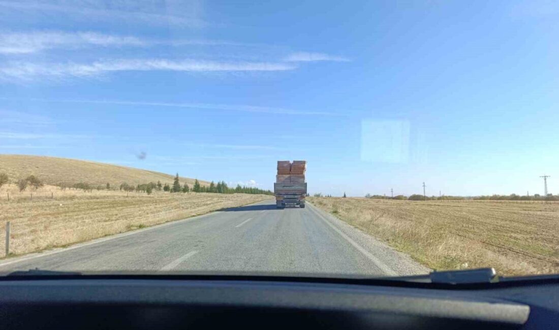 Afyonkarahisar’da bir tır sürücüsünün gerektiği şekilde önlem almadan dorsesinde taşıdığı