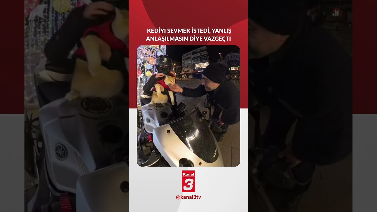 Kediyi Sevmek İstedi Yanlış Anlaşılmasın Diye Vazgeçti!