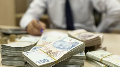 Vergi yüzsüzleri listesi yayımlanmaya başladı Hazine ve Maliye Bakanlığı’na bağlı