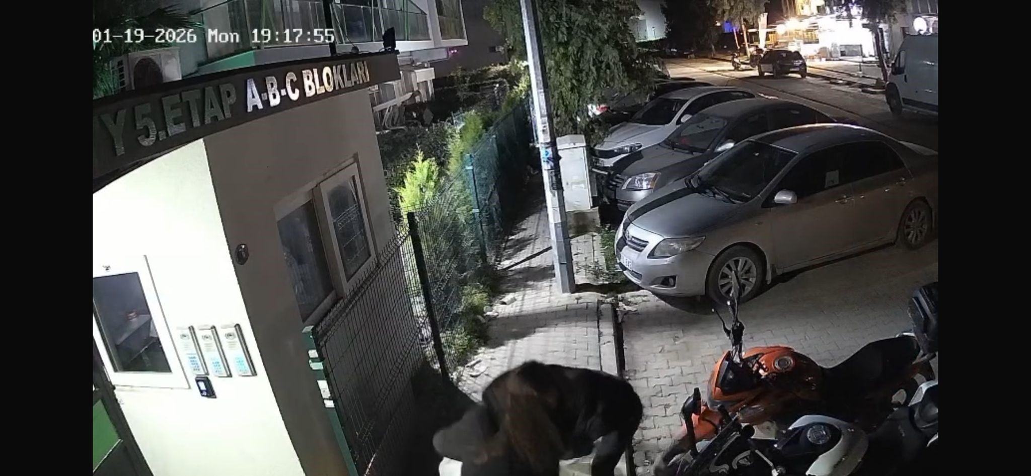 Sokak ortasında eski sevgiliye kanlı infaz!