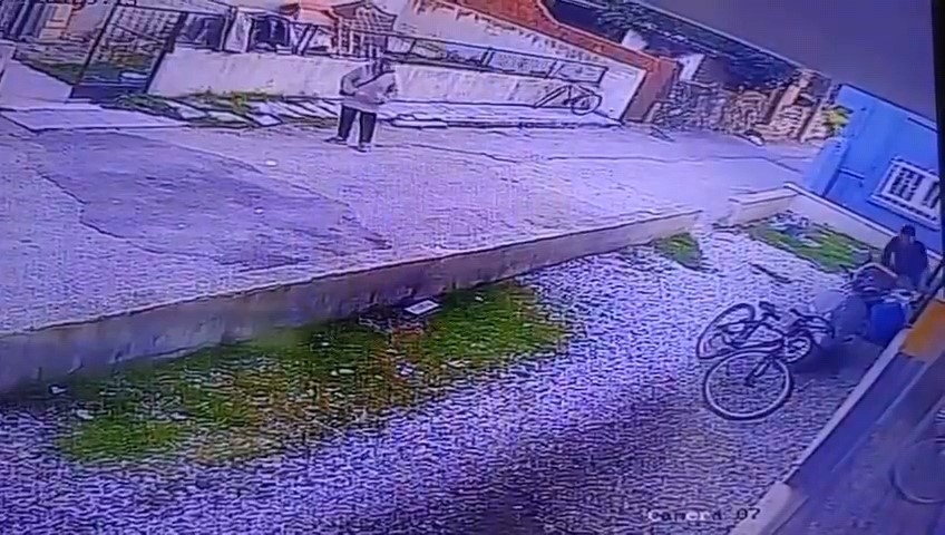 Çocukların gözü önünde köpeği katletti