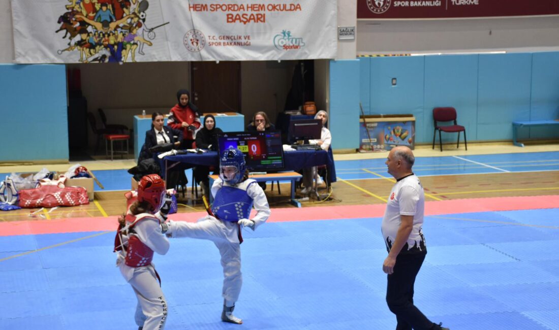 Gençlik ve Spor İl Müdürlüğü koordinesinde düzenlenen seçmelerde sporcular, farklı