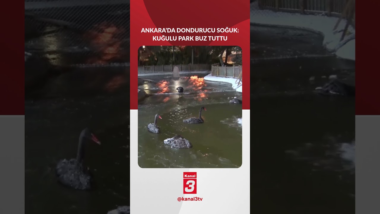Ankara’da Dondurucu Soğuk: Termometreler -11’i Gördü