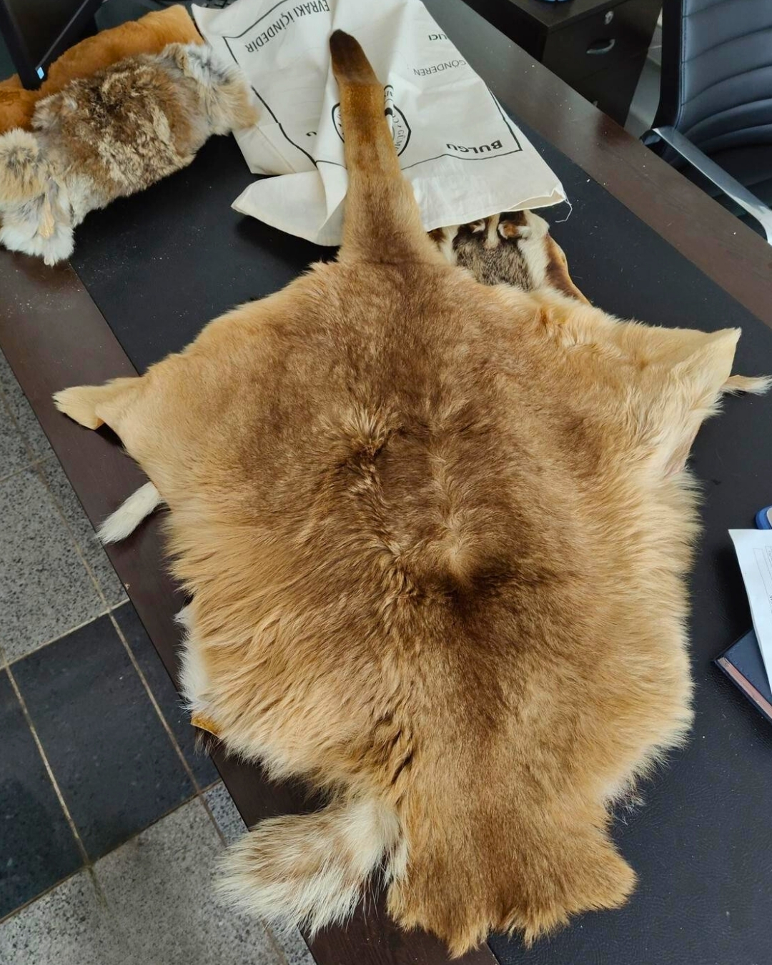 Valizden hayvan postları çıktı