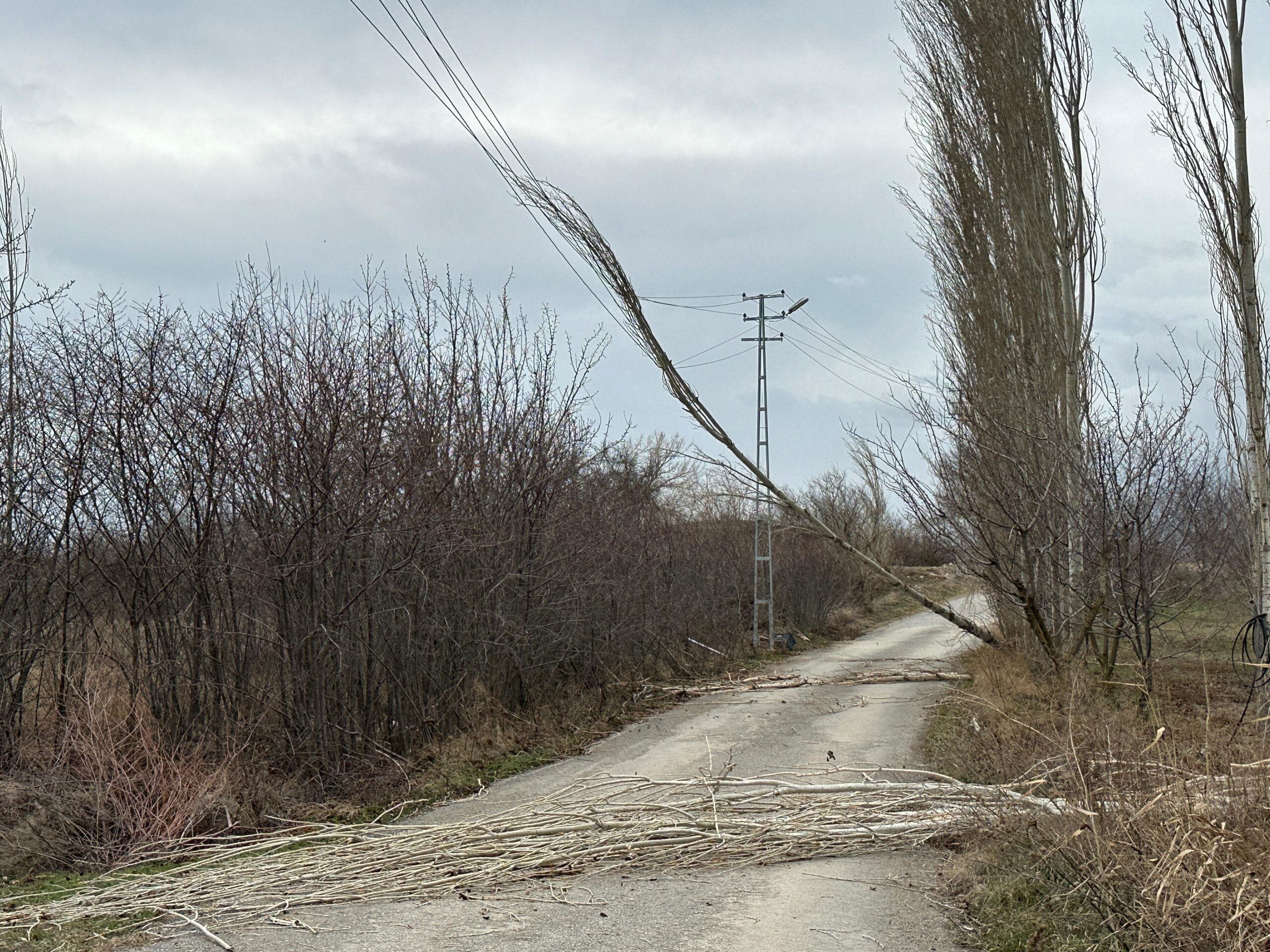 Afyonkarahisar’da fırtına: Ağaçlar devrildi, yollar kapandı