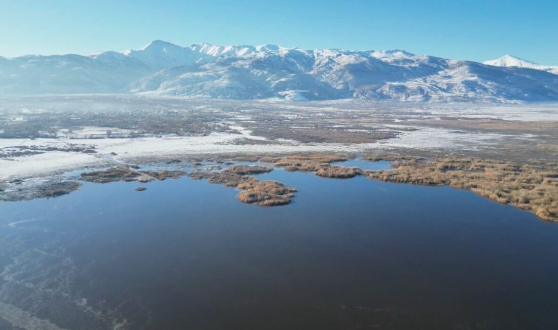 Eber Gölü’nün Afyonkarahisar sınırlarında kalan kısmında soğuk hava nedeniyle kısmi