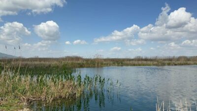 Afyonkarahisar’da son yaşanan yağışlar kuruma tehlikesinin baş gösterdiği Eber Gölü’ne