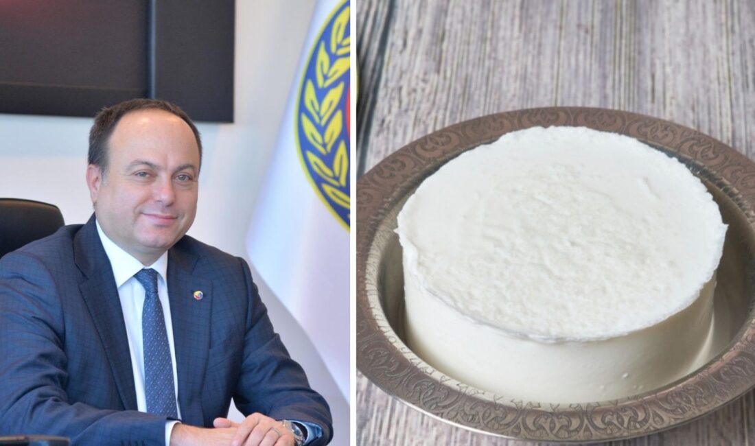 01/04/2024 tarihinde PDO-TR-03225 referans numarasıyla yapılan başvuru, Avrupa Birliği Komisyonu