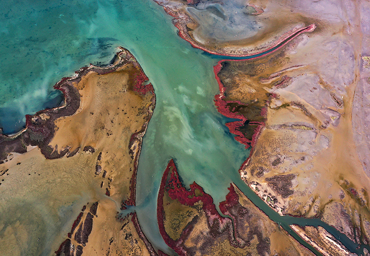 Aydın’ın Söke, Kuşadası ve Didim ilçelerini kapsayan Dilek Yarımadası Büyük