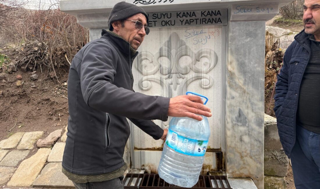 Böbrek ve şeker rahatsızlıklarına iyi geldiğine inanılıyor Beldede bulunan iki