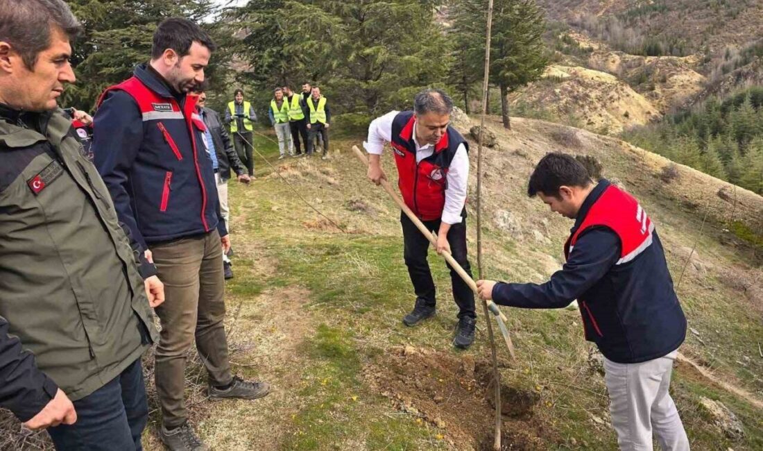 Afyonkarahisar’da gerçekleştirilen etkinlik ile 2 bin kestane fidanı toprakla buluşturuldu.