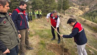 Afyonkarahisar’da gerçekleştirilen etkinlik ile 2 bin kestane fidanı toprakla buluşturuldu.
