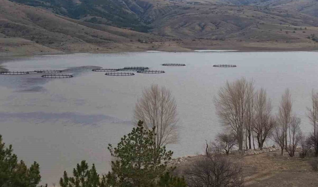 Afyonkarahisar’ın Şuhut ilçesindeki Selevir Barajı, son iki ayda etkili olan