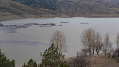 Afyonkarahisar’ın Şuhut ilçesindeki Selevir Barajı, son iki ayda etkili olan