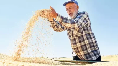 Üreticinin yüzünü güldüren rakam açıklandı Cumhurbaşkanı Recep Tayyip Erdoğan’ın liderliğinde