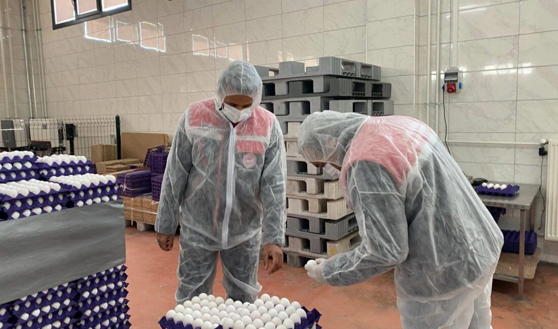 Veteriner ilaçları ve kimyasal kalıntılar taranıyor Gıda ve Yem Şube