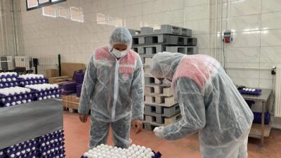 Veteriner ilaçları ve kimyasal kalıntılar taranıyor Gıda ve Yem Şube