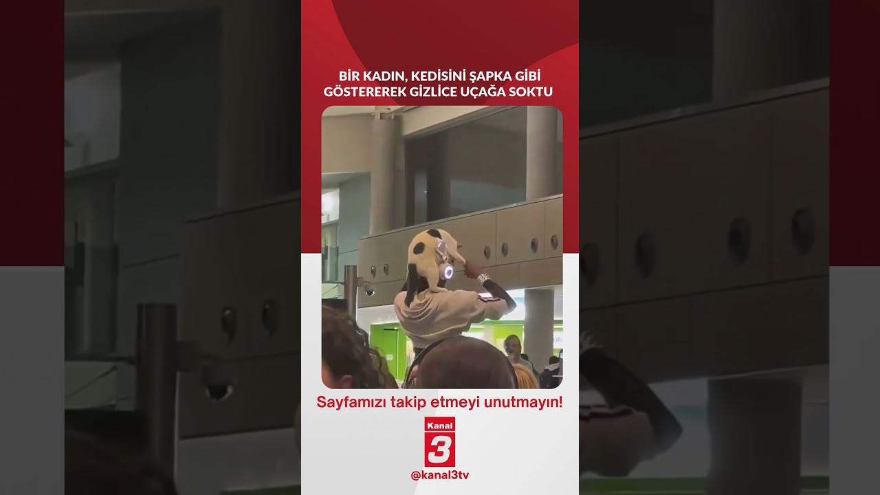 Bir kadın, kedisini şapka gibi göstererek gizlice uçağa soktu!