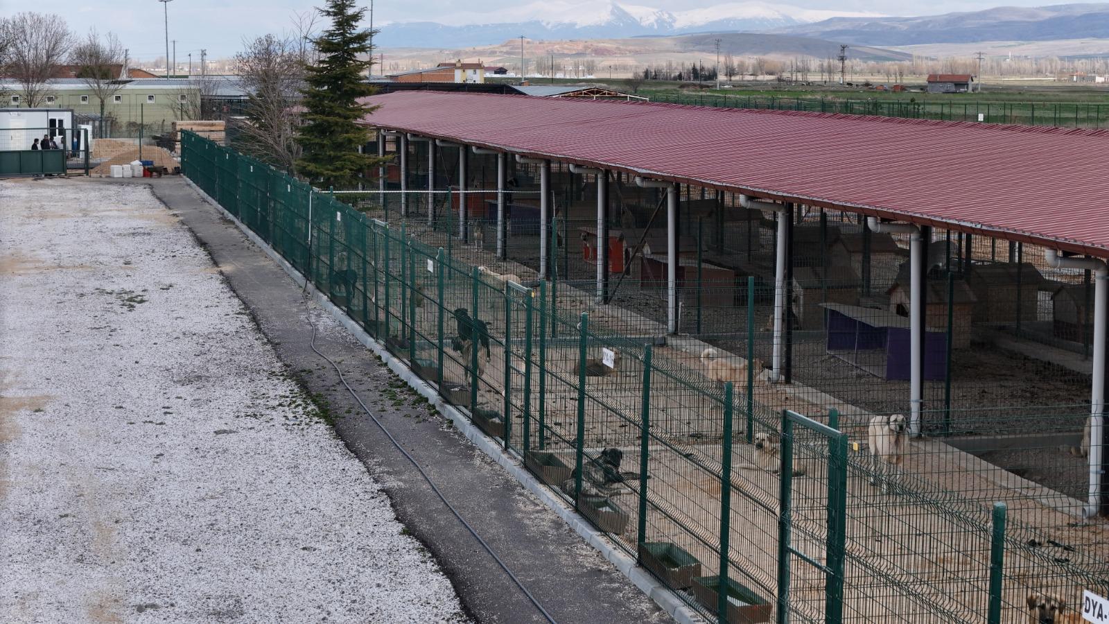 Afyonkarahisar’daki  canlara 5 yıldızlı hizmet!
