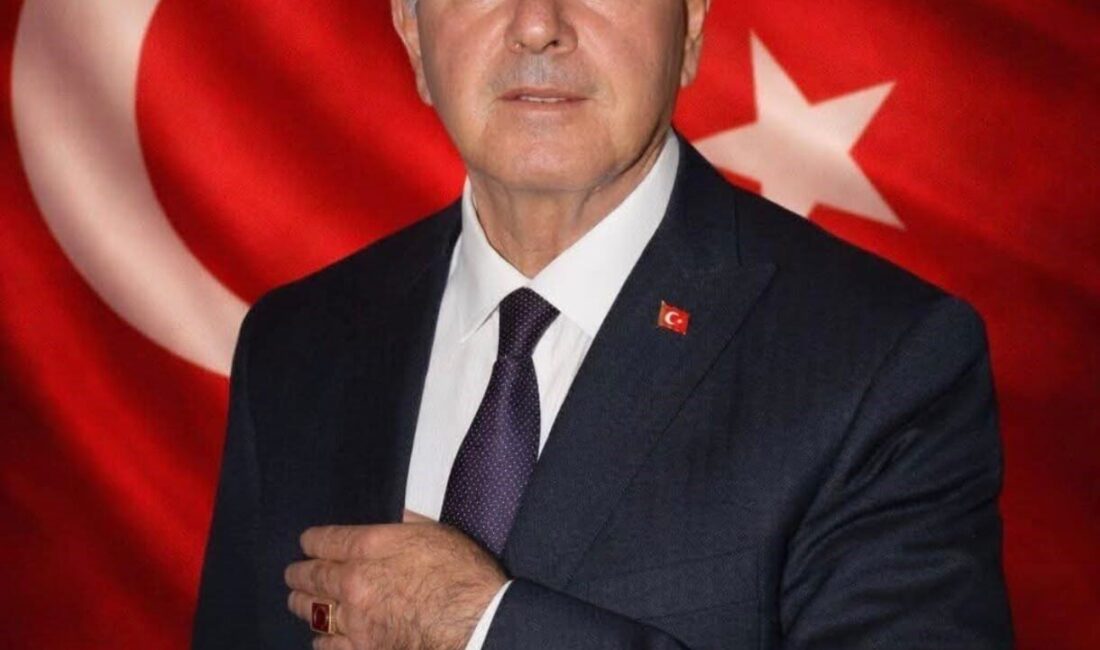 Adalet ve Kalkınma Partisi Afyonkarahisar Evciler İlçe Başkanı Ali Dede