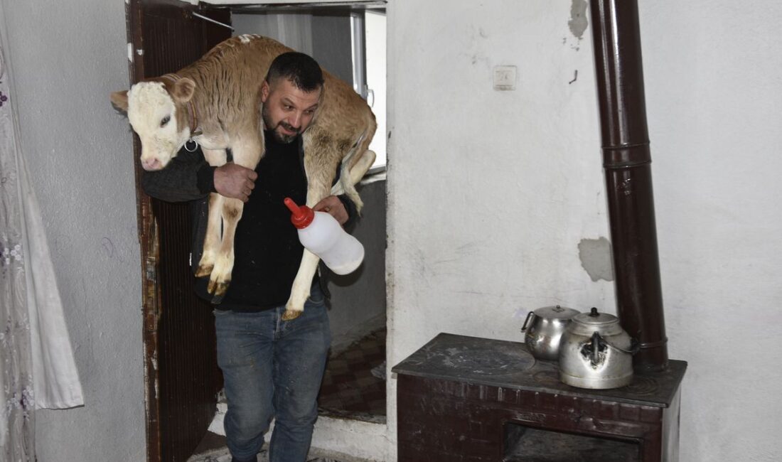 Sobanın başında özel alan Yoncabaşı köyünde yaşayan Aygül ailesi, ahırda
