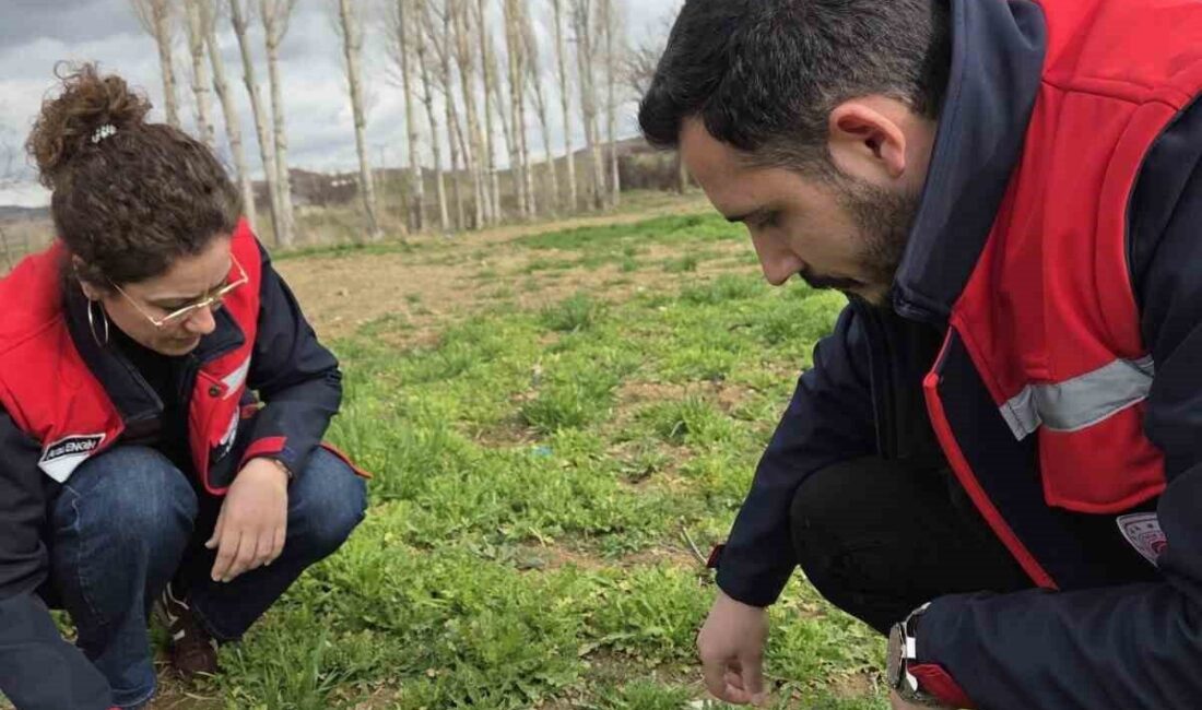 Afyonkarahisar Tarım ve Orman İl Müdürlüğüne bağlı ekipler tarafından il