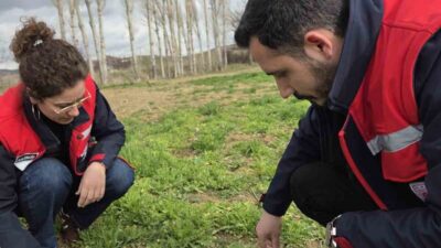 Afyonkarahisar Tarım ve Orman İl Müdürlüğüne bağlı ekipler tarafından il