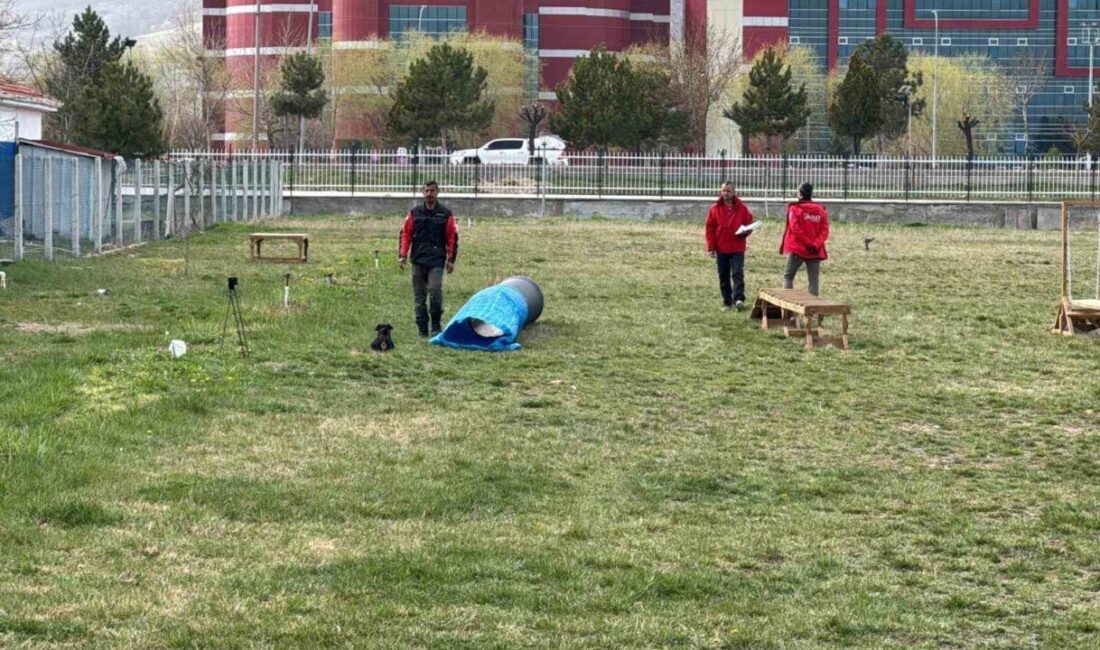 Ulusal ve uluslararası alan ve enkaz arama köpekleri sınavı Afyonkarahisar’da